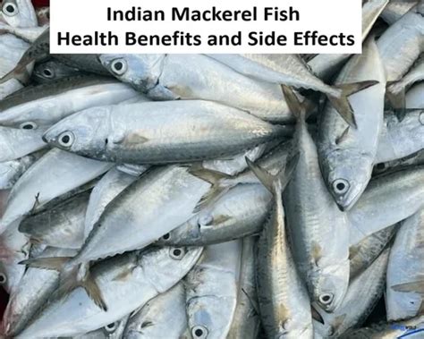 mackerel benefits and side effects